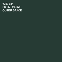 #253B34 - Outer Space Color Image